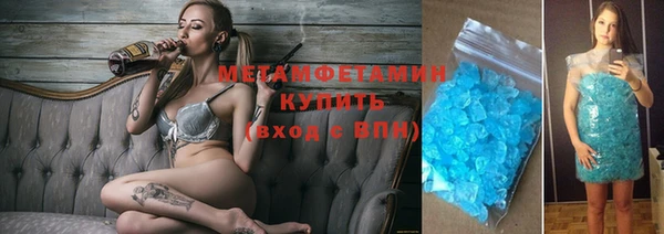 хмурый Аркадак