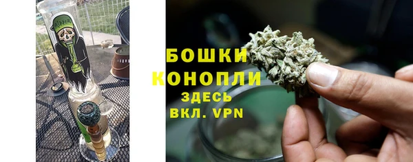 ПСИЛОЦИБИНОВЫЕ ГРИБЫ Арсеньев