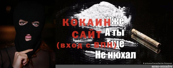 хмурый Аркадак