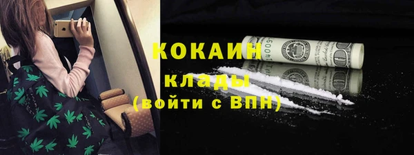 хмурый Аркадак