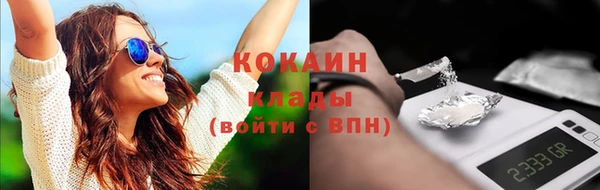 ПСИЛОЦИБИНОВЫЕ ГРИБЫ Арсеньев