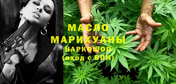хмурый Аркадак