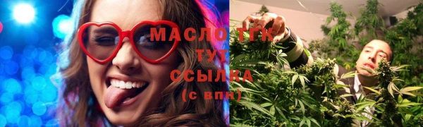 хмурый Аркадак