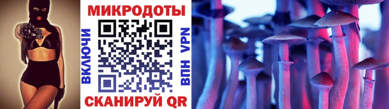 Купить закладки  Никольское  Псилоцибиновые грибы Cubensis 